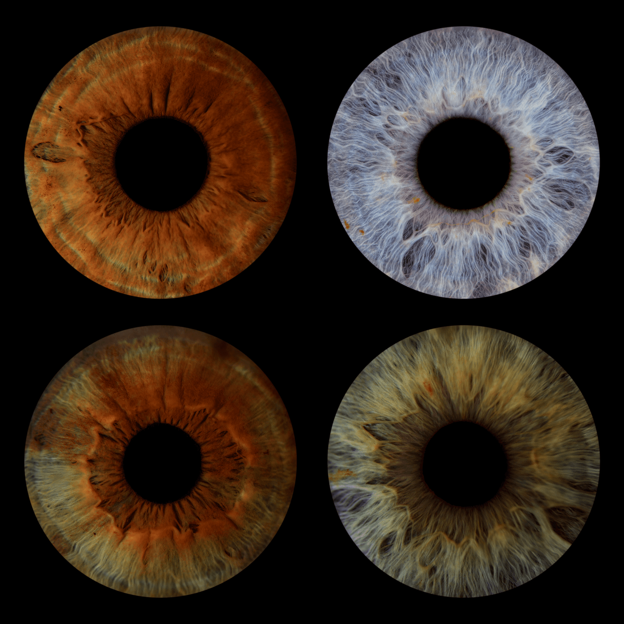 Macro photographs of four human irises in brown, blue, hazel, and green on black background.