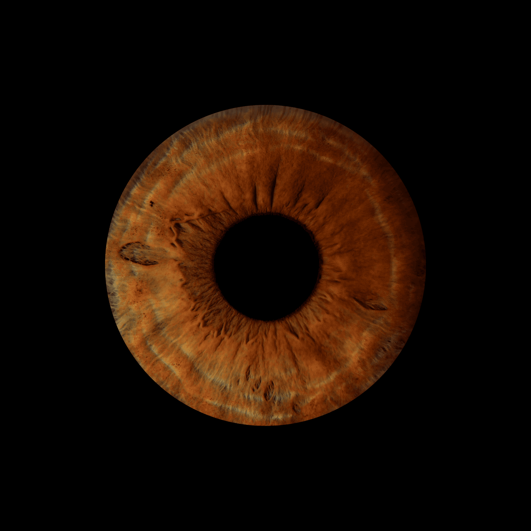 Macro view of a textured brown human iris with intricate patterns surrounding a black pupil.